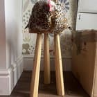 Anyone else have a breaking and entering chicken they find in odd places?