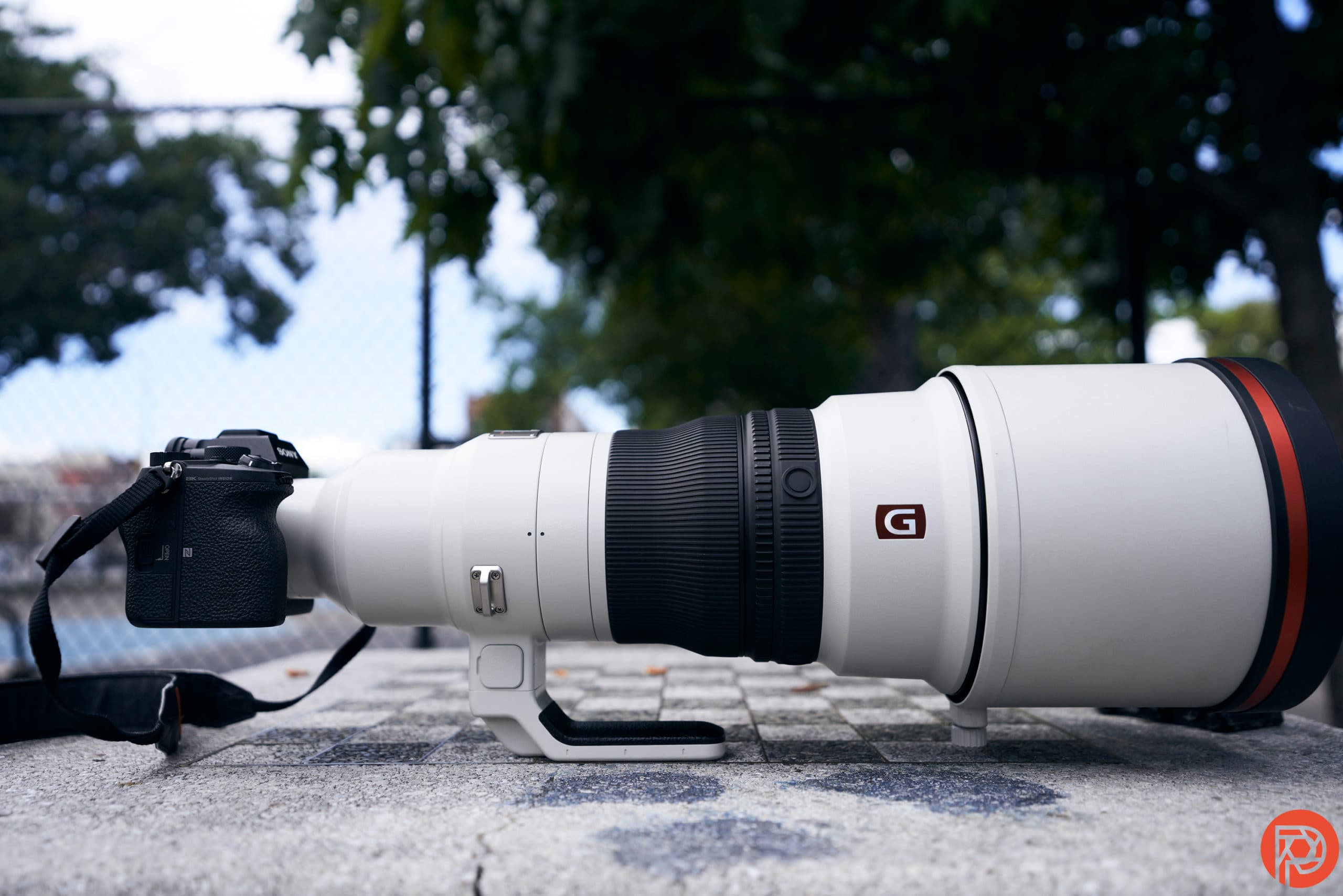 This Mysterious Sony Lens Has Bird Photographers Curious